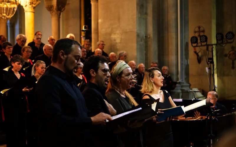 54822761474_c1a8c601ad_k